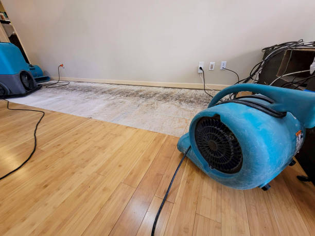 Professional Water Damage Repair technician working in Crows Landing, CA